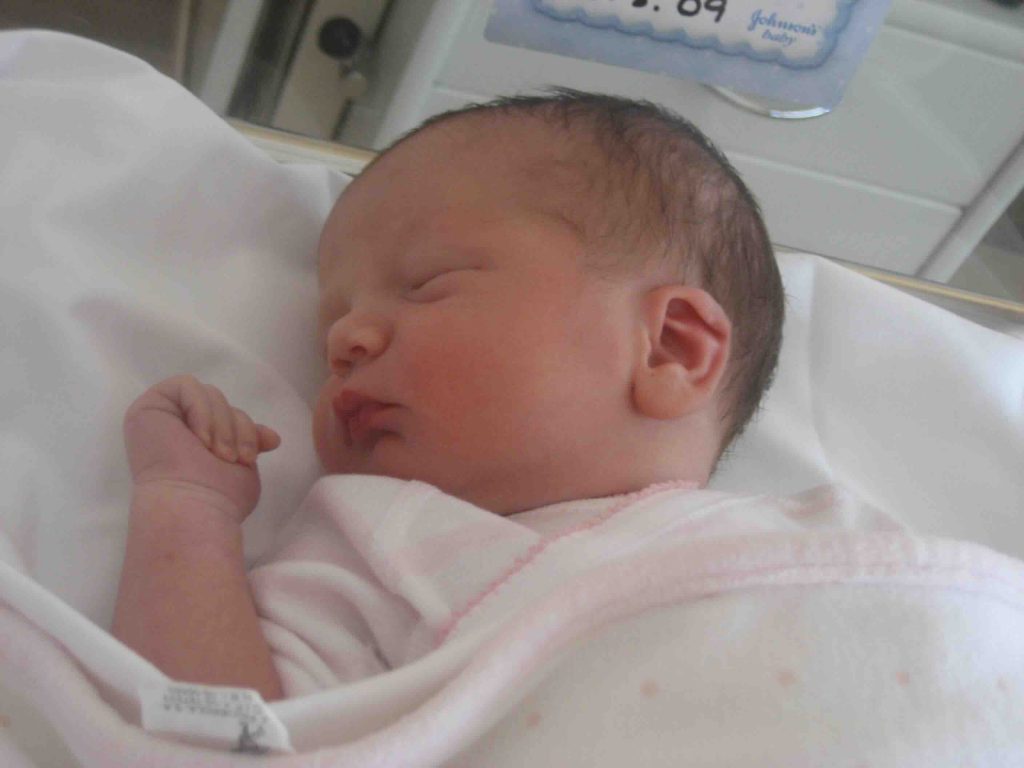 Opolengua. Preparador de Lengua.